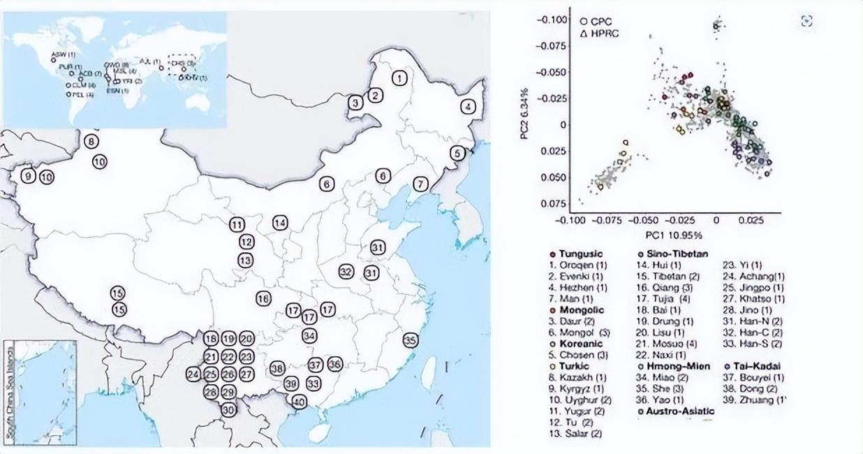 国外最新数据的洞察与启示，引领未来趋势的关键洞察